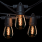 Hometown Evolution E26 Commercial 100 Foot String Light Set with S14 Zig Zag Edison Light Bulbs