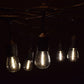 Hometown Evolution E26 Commercial 100 Foot String Light Set with Suspended S14 LED Filament Light Bulbs