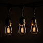 Hometown Evolution E26 Commercial 100 Foot String Light Set with Suspended S14 Lantern Edison Light Bulbs