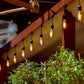Hometown Evolution E26 Commercial 100 Foot String Light Set with Suspended S14 PLASTIC LED Filament Light Bulbs