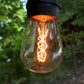 Hometown Evolution E26 Commercial 100 Foot String Light Set with Suspended S14 Zig Zag Edison Light Bulbs