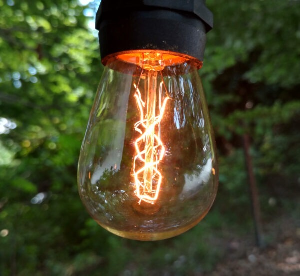 Hometown Evolution E26 Commercial 100 Foot String Light Set with Suspended S14 Zig Zag Edison Light Bulbs