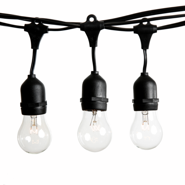 Hometown Evolution E26 Commercial 24 Foot Clear String Light with Suspended A15 Clear Bulbs