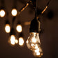 Hometown Evolution E26 Commercial 24 Foot Clear String Light with Suspended A15 Clear Bulbs