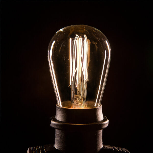Hometown Evolution E26 Commercial 24 Foot String Light Set with S14 Lantern Edison Light Bulbs