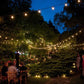Hometown Evolution E26 Commercial 24 Foot String Light Set with S14 PLASTIC LED Filament Light Bulbs