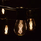 Hometown Evolution E26 Commercial 24 Foot String Light Set with S14 Zig Zag Edison Light Bulbs