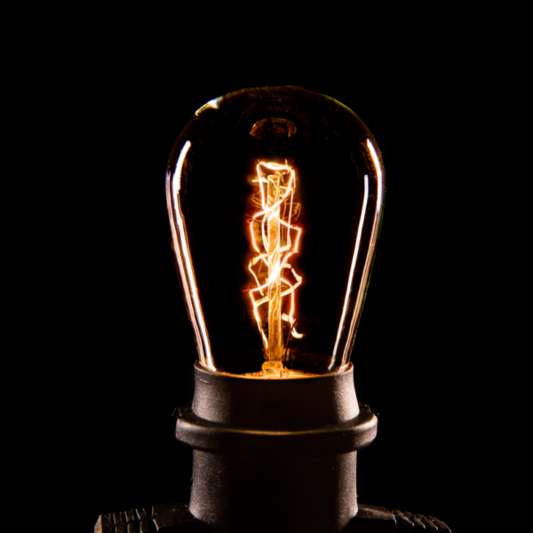 Hometown Evolution E26 Commercial 24 Foot String Light Set with S14 Zig Zag Edison Light Bulbs