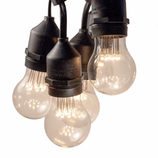 Hometown Evolution E26 Commercial 24 Foot String Light Set with Suspended A15 LED 9 Diode Light Bulbs
