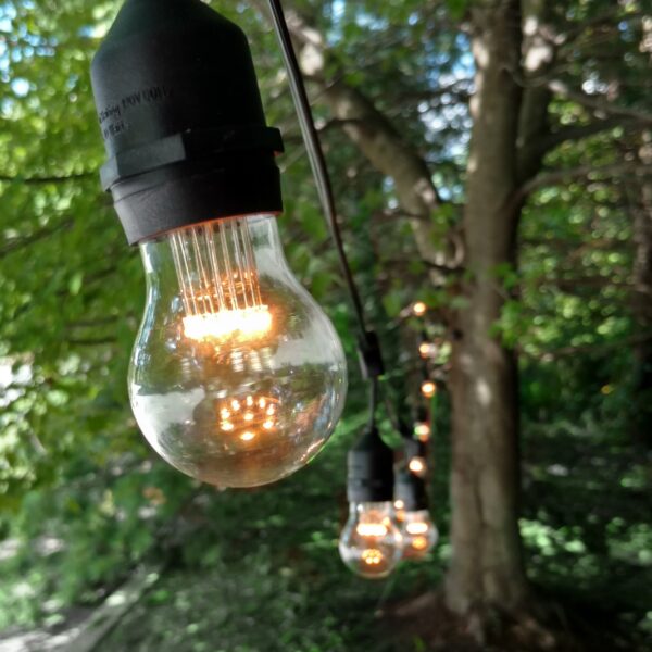 Hometown Evolution E26 Commercial 24 Foot String Light Set with Suspended A15 LED 9 Diode Light Bulbs