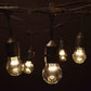 Hometown Evolution E26 Commercial 24 Foot String Light Set with Suspended A15 LED 9 Diode Light Bulbs