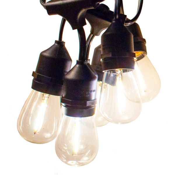 Hometown Evolution E26 Commercial 24 Foot String Light Set with Suspended S14 LED Filament Light Bulbs