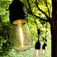 Hometown Evolution E26 Commercial 24 Foot String Light Set with Suspended S14 LED Filament Light Bulbs