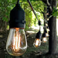 Hometown Evolution E26 Commercial 24 Foot String Light Set with Suspended S14 Lantern Edison Light Bulbs