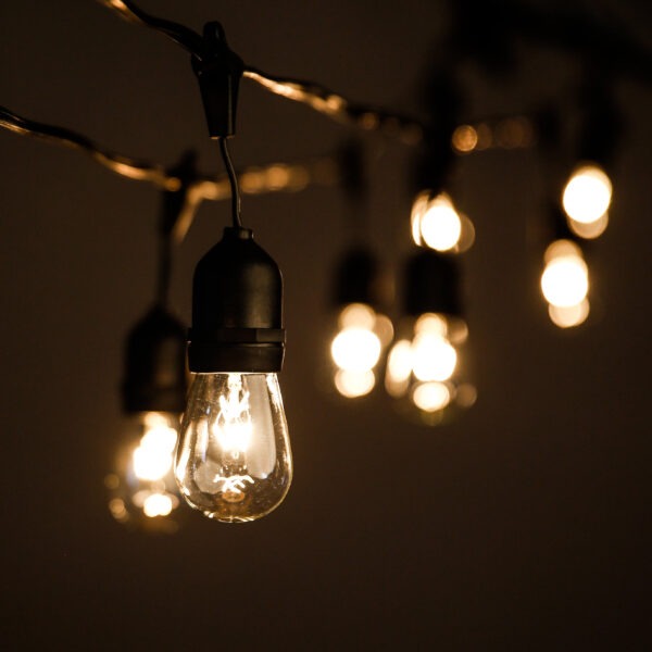 Hometown Evolution E26 Commercial 24 Foot String Light Set with Suspended S14 PLASTIC LED Filament Light Bulbs