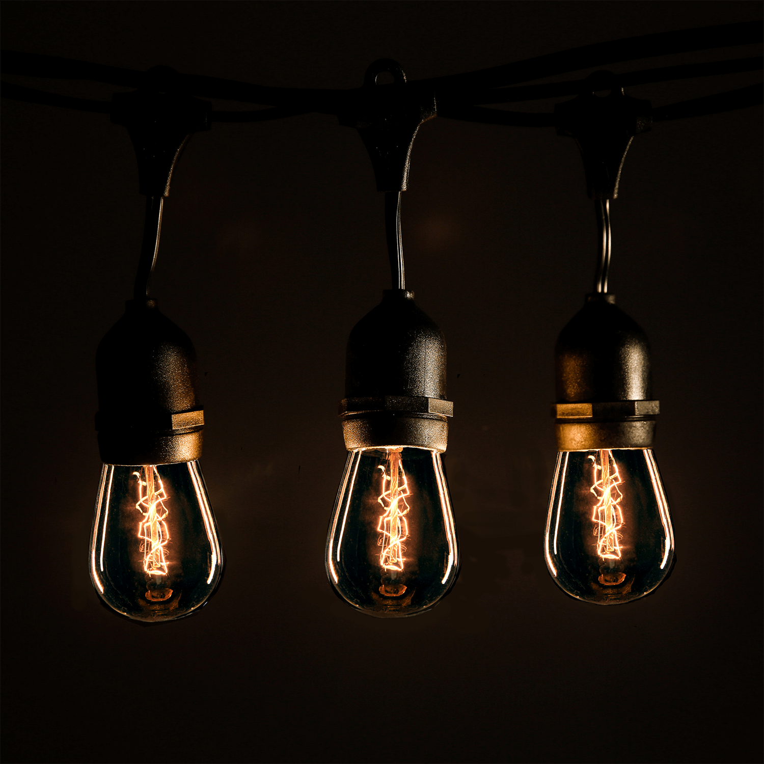 Hometown Evolution E26 Commercial 24 Foot String Light Set with Suspended S14 Zig Zag Edison Light Bulbs