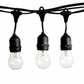 Hometown Evolution E26 Commercial 50 Foot Clear String Light with Suspended A15 Clear Bulbs