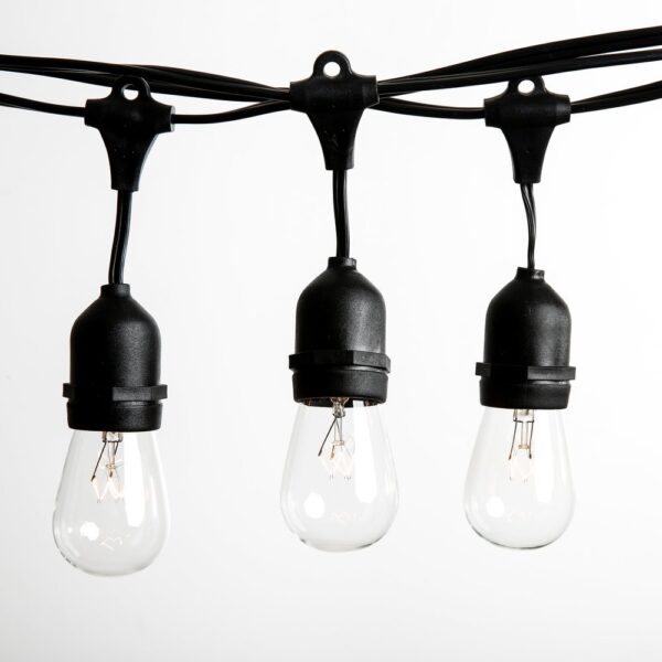 Hometown Evolution E26 Commercial 50 Foot Clear String Light with Suspended S14 Clear Bulbs