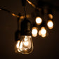 Hometown Evolution E26 Commercial 50 Foot Clear String Light with Suspended S14 Clear Bulbs