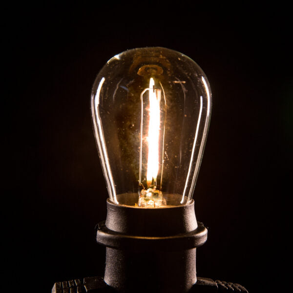 Hometown Evolution E26 Commercial 50 Foot String Light Set with S14 LED Filament Light Bulbs
