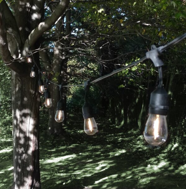 Hometown Evolution E26 Commercial 50 Foot String Light Set with Suspended S14 LED Filament Light Bulbs