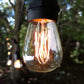 Hometown Evolution E26 Commercial 50 Foot String Light Set with Suspended S14 Lantern Edison Light Bulbs