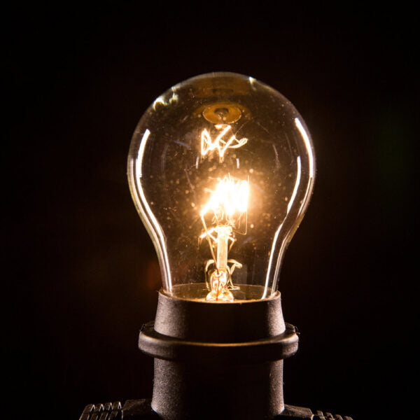 Hometown Evolution E26 Commercial 50 Foot String Light with A15 Clear Bulbs