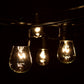 Hometown Evolution E26 Commercial 50 Foot String Light with S14 Clear Bulbs