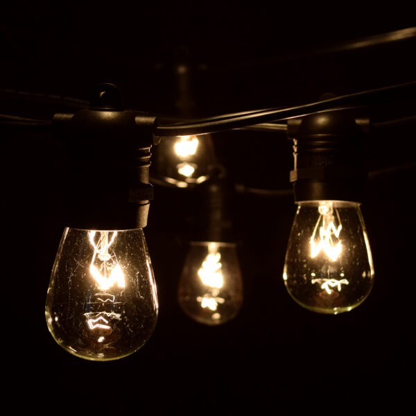Hometown Evolution E26 Commercial 50 Foot String Light with S14 Clear Bulbs
