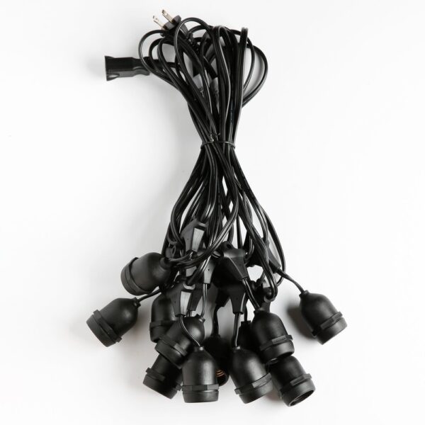 Hometown Evolution E26 Commercial Grade 24 Foot Black String Light with Suspended Sockets and 16 Gauge Wire