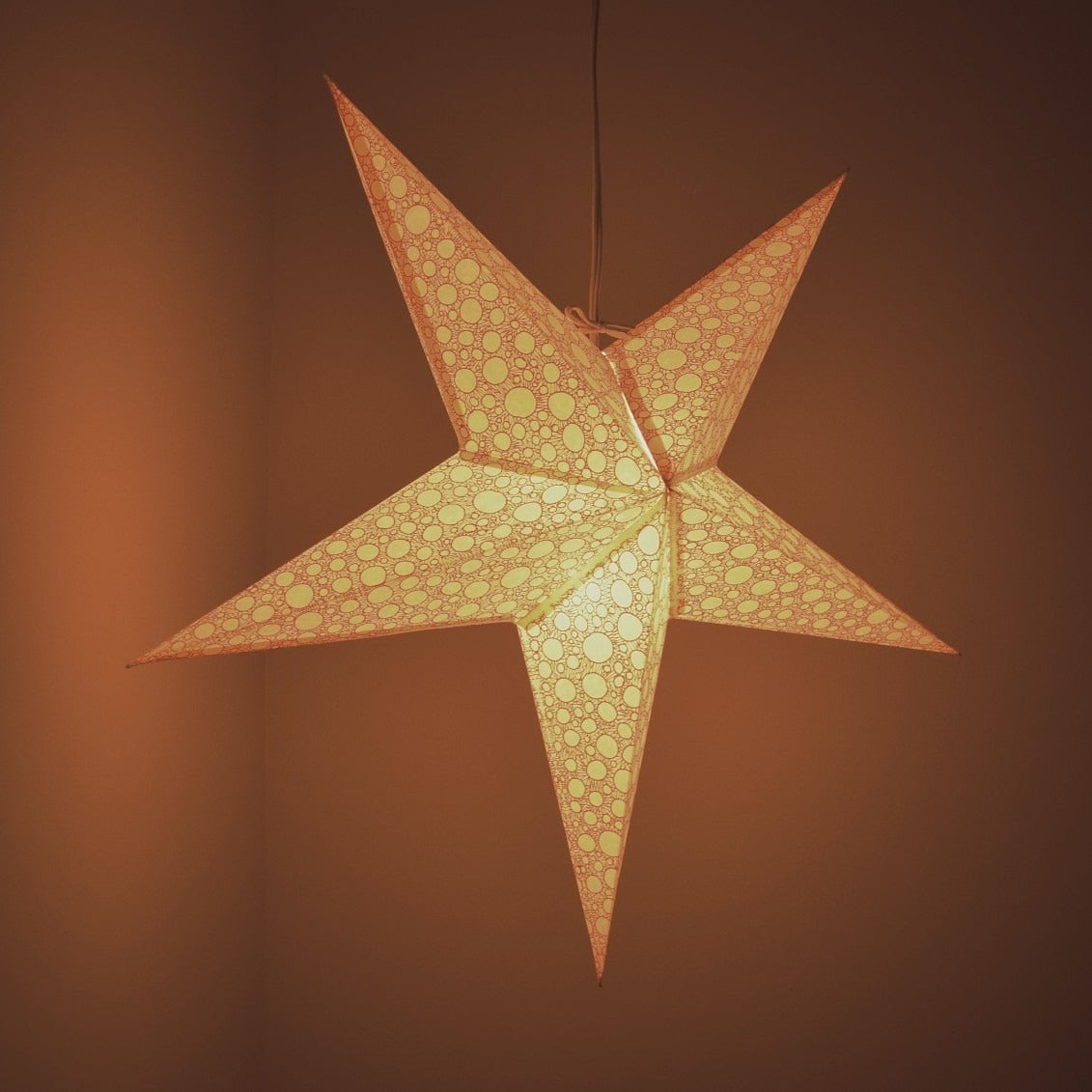 Hometown Evolution Fizz Paper Star Outdoor Lantern with Cord