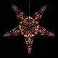 Hometown Evolution Fleur De Lis Paper Star Black Outdoor Lantern