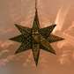 Hometown Evolution Flower Cut 12" Tin Star Light
