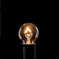 Hometown Evolution G30 Clear Light Bulb with C7-E12 Base (Box of 25)