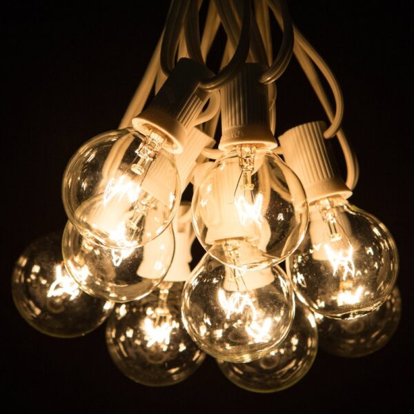 Hometown Evolution G40 10 Foot Clear String Light Set with White Wire