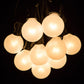 Hometown Evolution G40 10 Foot White Satin Pearl String Light Set with Black Wire