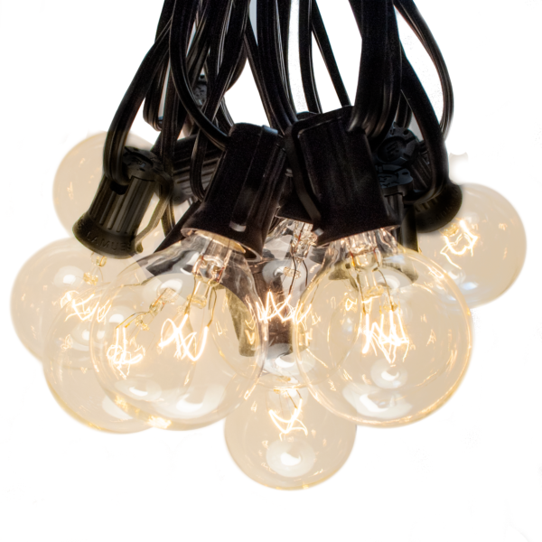 Hometown Evolution G40 25 Foot Clear String Light Set with Black Wire