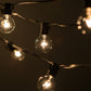 Hometown Evolution G40 25 Foot Clear String Light Set with Green Wire