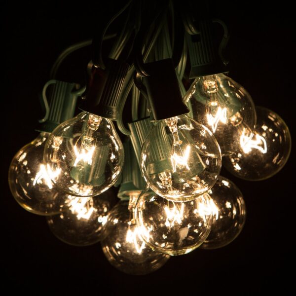 Hometown Evolution G40 25 Foot Clear String Light Set with Green Wire