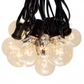 Hometown Evolution G40 25 Foot Clear String Light with Black Wire