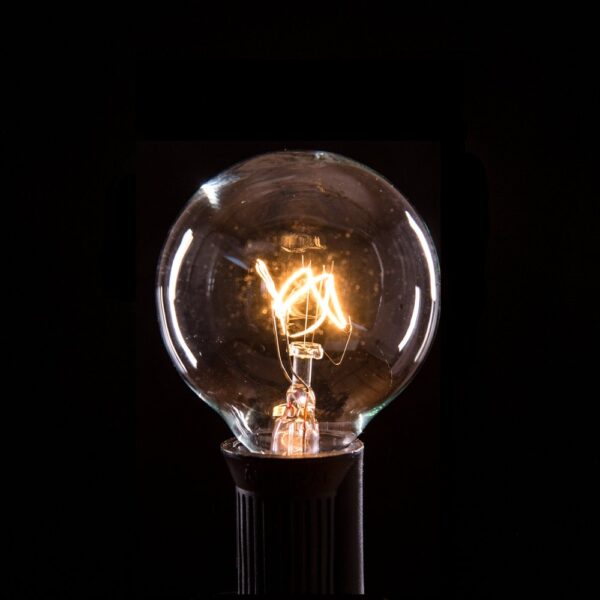 Hometown Evolution G40 25 Foot Clear String Light with Black Wire