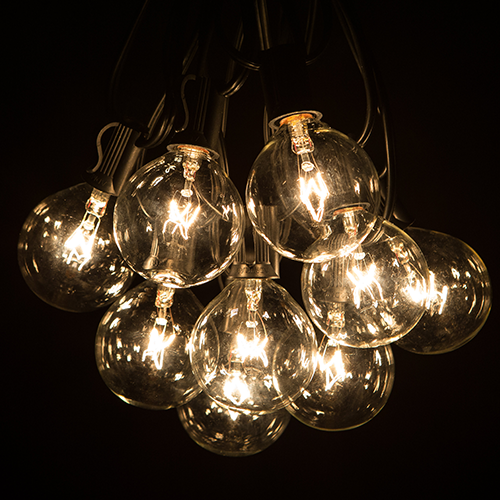 Hometown Evolution G40 25 Foot Clear String Light with Black Wire