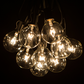 Hometown Evolution G40 50 Foot Clear String Light Set with Black Wire