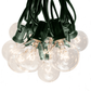 Hometown Evolution G40 50 Foot Clear String Light Set with Green Wire