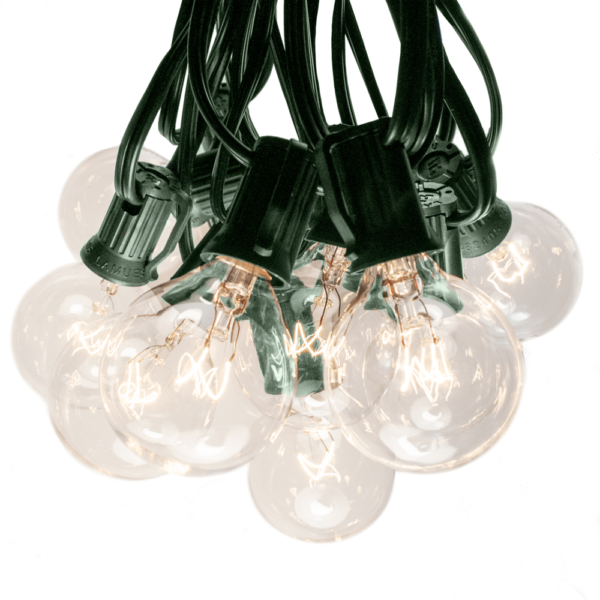 Hometown Evolution G40 50 Foot Clear String Light Set with Green Wire