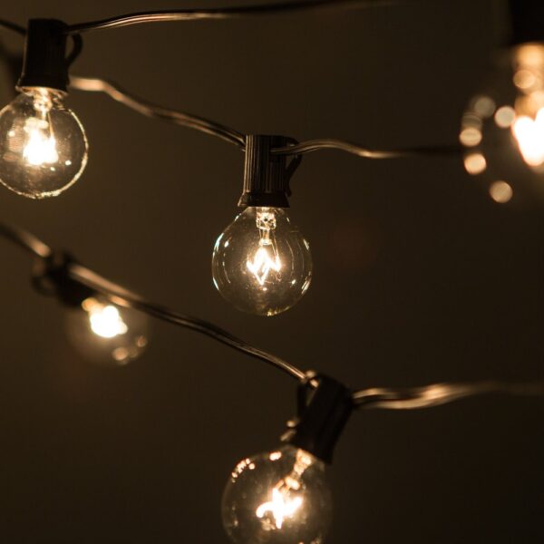 Hometown Evolution G40 50 Foot Clear String Light Set with Green Wire
