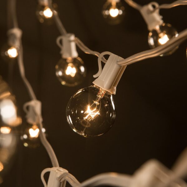 Hometown Evolution G40 50 Foot Clear String Light with White Wire