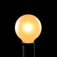 Hometown Evolution G40 50 Foot White Satin Pearl String Light with Green Wire