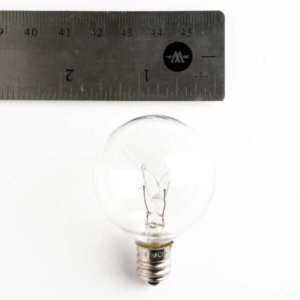 Hometown Evolution G40 Clear Light Bulb with C7-E12 Base (Box of 25)