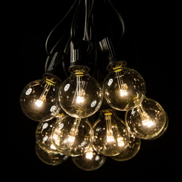 Hometown Evolution G40 LED 10 Foot Warm White String Light Set with Black Wire